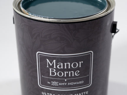 Take it all in - Manor Borne Wall Paint