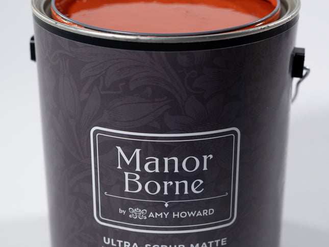 Sunset Engagement - Manor Borne Wall Paint