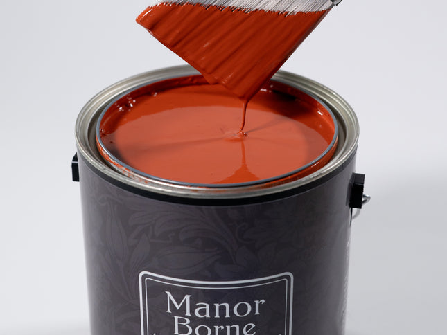 Sunset Engagement - Manor Borne Wall Paint