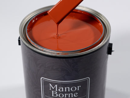 Sunset Engagement - Manor Borne Wall Paint