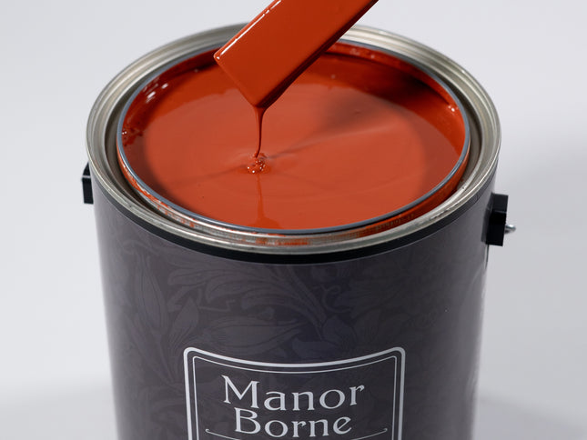 Sunset Engagement - Manor Borne Wall Paint