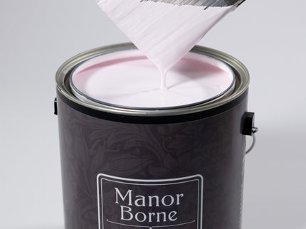 Ballet Shoes - Manor Borne Wall Paint