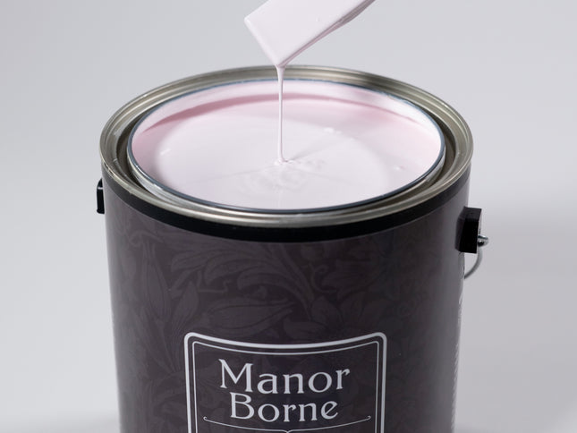 Ballet Shoes - Manor Borne Wall Paint