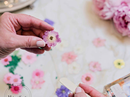 Purple Dried Flowers