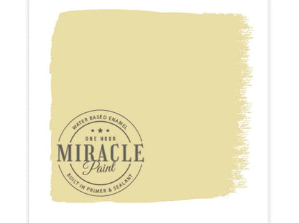 Miracle Paint Bundle