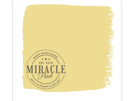 Miracle Paint Bundle