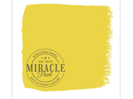 Miracle Paint Bundle